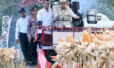 Presiden Prabowo Subianto Pimpinan Panen Jagung Serentak di Tuban – Jawa Timur
