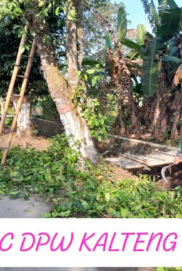 Wujud Kemanunggalan TNI, Babinsa Ngoran Pelopori Gotong Royong Bersihkan Jalan Desa